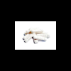Buy Flubrotizolam (FANAX) 0.5mg Online